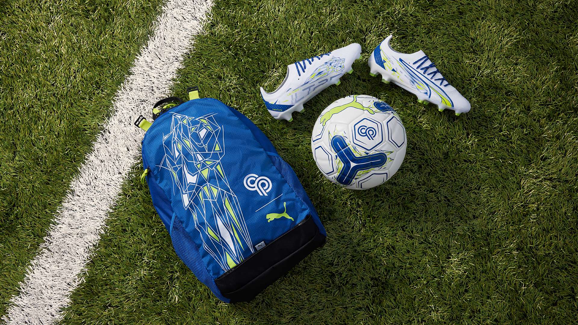 入了新的領 入了新的領